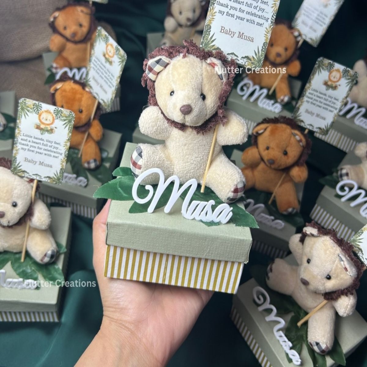 Lion/Jungle Themed Baby Announcement Boxes