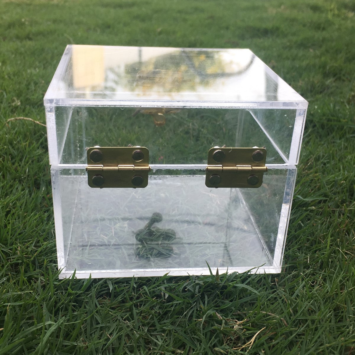 Plain Acrylic Box with Lock