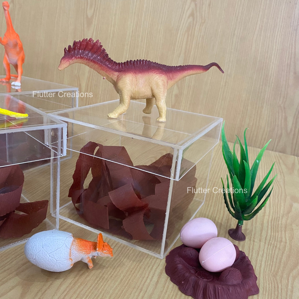 Dino Acrylic Box