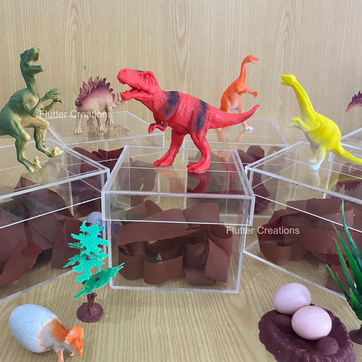 Dino Acrylic Box