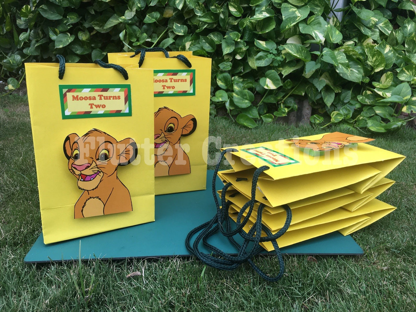 Simba/Lion King Goody Bags